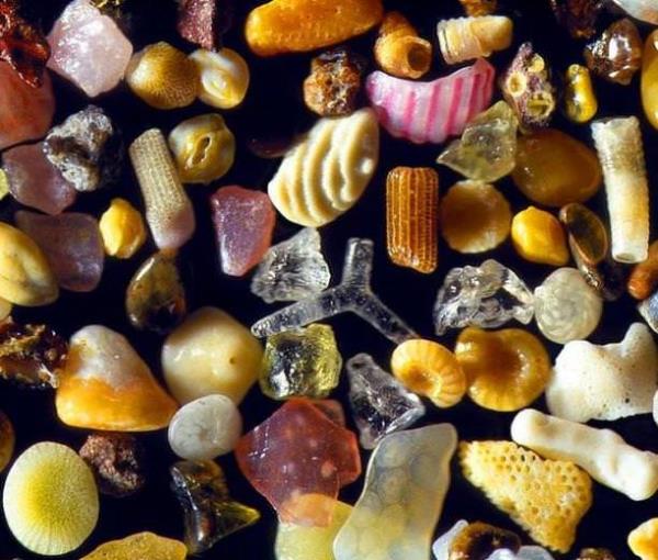 Kum taneleri mikroskop altnda byle grnr.