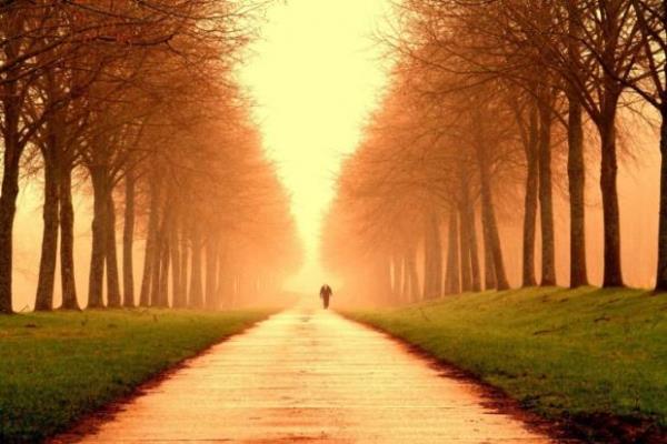 Ortalama bir insan, mr boyunca dnyann evresini yaklak  defa dolaacak kadar yrr.