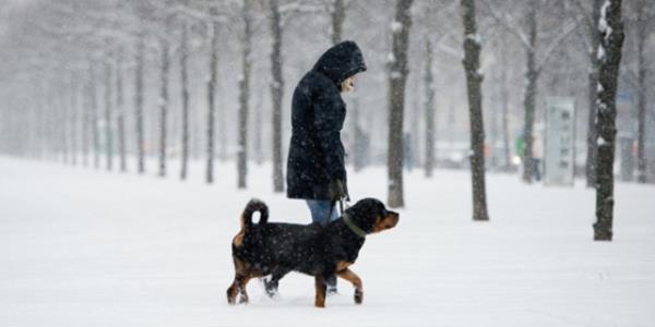 Kn vcut direnci dmeye balad iin, vcut ald enerjiyi ncelikle diren kazanmaya harcyor ve ya yakm ikinci planda kalyor. Bu da metabolizmann yavalamasna ve k aylarnda kilo artyla karlalmasna sebep oluyor. Ama kn hem metabolizmamz altrp hem de hastalklardan korunmak mmkn.