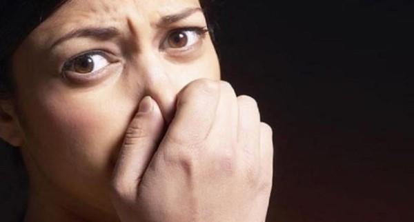 ou vaka yalnzca birka gn srse de fakat gda zehirlenmesi uzun vadede, barsak sendromu ve sinir sistemini etkileyen Guillain-Barre sendromu gibi salk sorunlarna da yol aabiliyor.