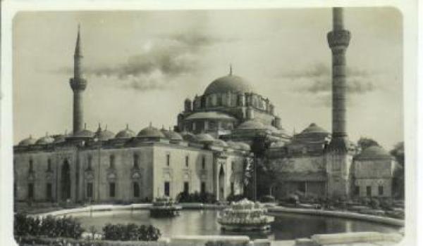 Halk, Beyazt Camii&#8217;nden tr buradaki aalarn ve meyvelerinin ifal olduuna inanrd.  drt yana geldii halde konumayan, kekeme olan veya dili tutulan ocuklar buraya getirilip, dut yedirilirdi. Eski stanbullular birok hastann bu ifal dutlar sayesinde iyi olacana inanrd.