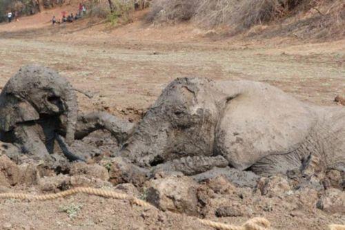 Bir traktr yardmyla yaplan kurtarma operasyonu ise grlmeye deer. Kurtarma operasyonundan saniye saniye kareler...
