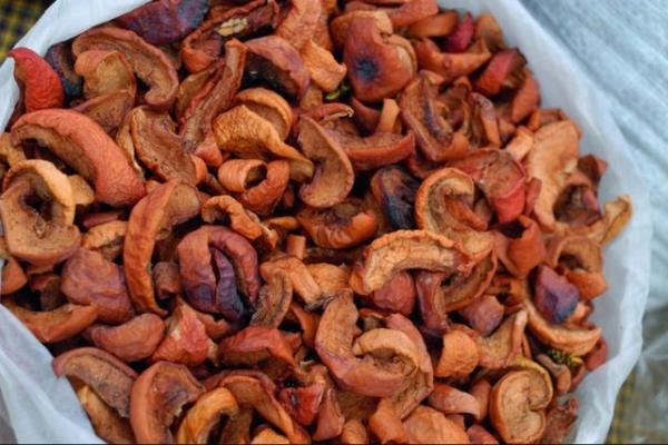 Kuru elma  <br>  zellikle yourtla yendiinde zehirli ishal trleri zerinde ok gl bir etkisi vardr. Yine lifli zellii sayesinde tok tutar. Gzlerinizi yoracak bir ite alyorsanz her gn bir avu kuru elma yemek iyi gelir.