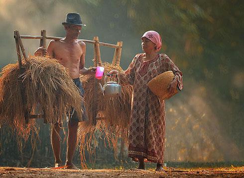 Fotoraflarnda daha ok doal  kullanan Damar, oyun oynayan mutlu ocuklar, ky hayatnn doal gzelliklerini gzler nne seriyor.