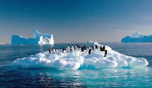 1- AIRI KLM DEKL: klim deiiklii en ok fakir lkeleri vuruyor. Yaygn alk byk glere ve dnyada savalara yol aabilir.