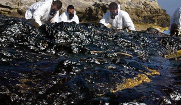 6- EKOLOJK FELAKET: evre kirlilii nedeniyle trler tarihte grlmemi hzda yok oluyor. evre kirliliini nlemek iin insanlarn srdrlebilir ekonomik sistemlerini oluturmalar gerekiyor.