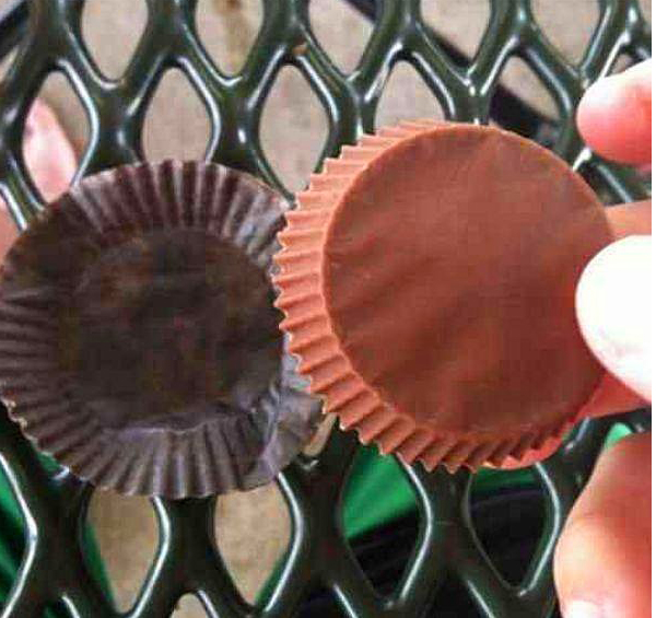 Kyamet alameti gibi bir ey bu: lk defa bir kek, kadna yapmadan km