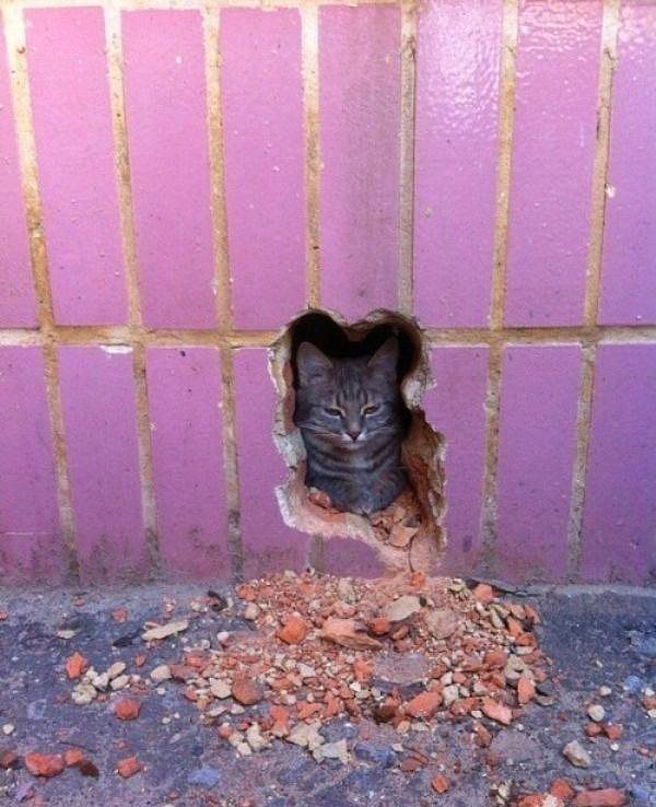 Sakkn kmldama. Hatta ack daha ne gel, ok az ama.