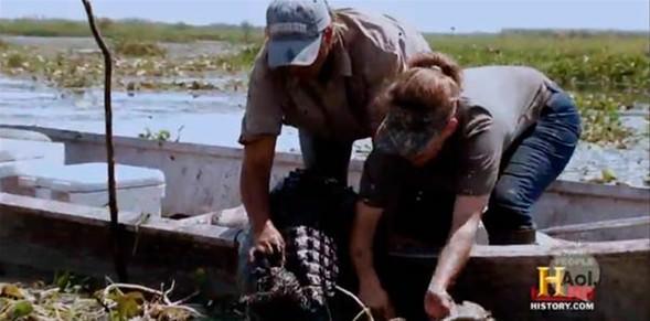 Bu yaralarn daha byk timsahlar tarafndan aldn...