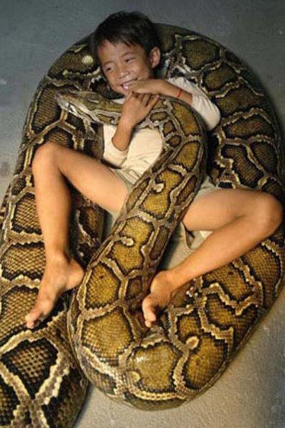 Son 4000 sene ierisinde herhangi yeni hayvan evcilletirilmemitir