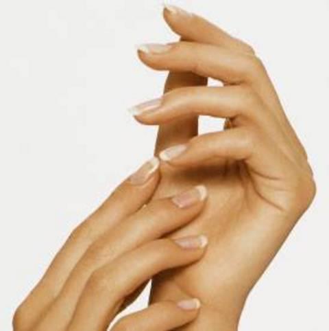 El trnaklar ayak trnaklarna oranla 4 kat daha hzl uzarlar.