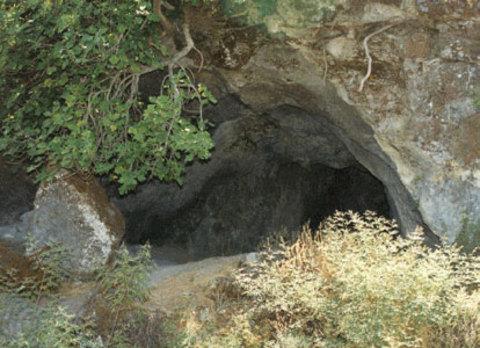 Ay inlerinin girileri herzaman kuzeye bakar.