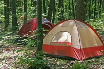 Terk ettikleri adrlar ierden yrtlm bir ekilde bulundu. lk iki ceset ormann iinde yalnayak ve sadece i amarlar ile, sonraki  ceset ise benzer bir durumda yakn bir yerde bulundu. Bundan iki ay sonra ise, son kurbanlar 75 metre uzaklkta kar altnda gml bulundu. Drt rencide byk i yaralanmalar, krk kaburgalar ve ezilmi kafataslar vard. Birinin dili yoktu. Gerek u ki mfettiler saldrya benzer herhangi bir bulgu bulamad. Son drt kurbann da bakalarna ait olduu dnlen ve radyasyon ieren kyafet giydikleri belirtildi. , uzayllar ve askeri test lm olaylaryla ilgili olarak ortaya atlan teorilerden birka.