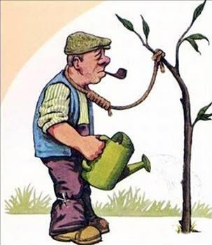 Hipotermi'den lm<br>  1998'de bir Fransz olduka karmak bi intihar giriiminde bulundu. Bir deniz kysnda yksek bir yamacn tepesine kp boynuna bir ip balad, ipi de byk bir kayaya balad. Sonra zehir iti ve kendini atee verdi. Uurumdan atlarken de tabancayla kafasna ate etti! Ama devam daha ilgin. nk kurun onu skalayp ipi kesti, bylece adam suya dtgnde asl kalmad. Soguk su yanan elbiselerini sndrmekle kalmad ayn zamanda onu oka sokarak yuttugu zehri kusmasn saglad. Sudan bi balk tarafndan karlp hastaneye gtrlen adam orada hipotermi (vcut ssnn ar dmesi)den dolay ld...