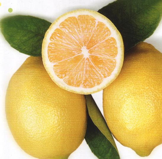 *Bbreklerde meydana gelen tkanklklar ve bbreklerde oluan talar kumlar liman sayesinde giderebilirsiniz