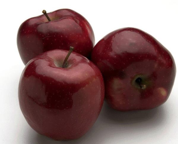 *Ayrca, elmadaki antioksidanlar sindirimi kolaylatrr ve metabolizmay hzlandrr.