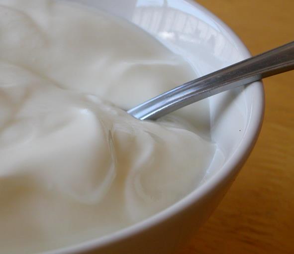 *Dk kalorili diyet yapan kiilerin diyetlerine yourt ilave edildi ve gn iinde 3 n yasz yourt yiyen ar kilolularn yourtsuz diyet uygulayanlara gre yzde 22 daha fazla kilo verdikleri grld. Ayrca, bu kiilerin yzde 61 daha fazla ya yaktklar tespit edildi.