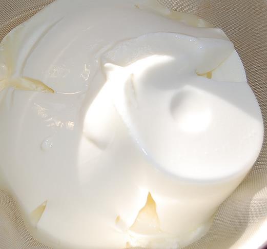 *Yourt sindirim asndan vcutla dost