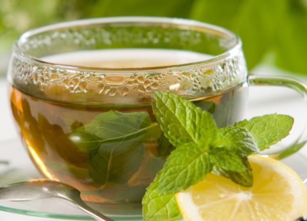 YEL AY: * Zayflamaya yardmcdr