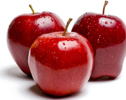 te kilo vermenize yardmc besinler; ELMA: *Gnde bir elma kilo vermenize yardmc olur.