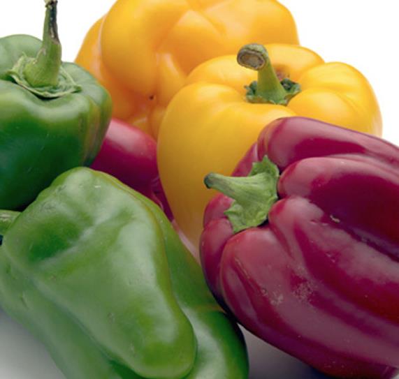 *Kan dolamn hzlandrc etki yapar.