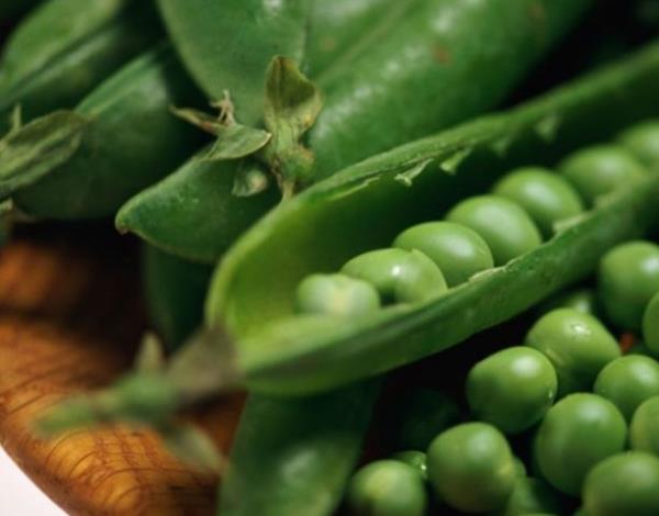 Bezelye    Vitaminler (niasin, C, B1&#8217;den B6&#8217;ya kadar), mineraller (kalsiyum, magnezyum, demir gibi) ve eser elementler (Florr, Fosfor, inko, Nikel&#8230;) gibi gl kombinasyonuyla, salarn canlanmasn salyor. Haftada 1-2 kez 200 gr. tketin.