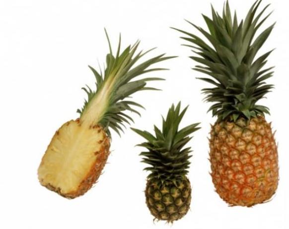 Ananas    eriindeki &#8216;Bromelain&#8217; enzimi sayesinde cildi ve ba dokusunu geriyor. Haftada 2-3 kez yarm ananas yemeyi alkanlk haline getirin.
