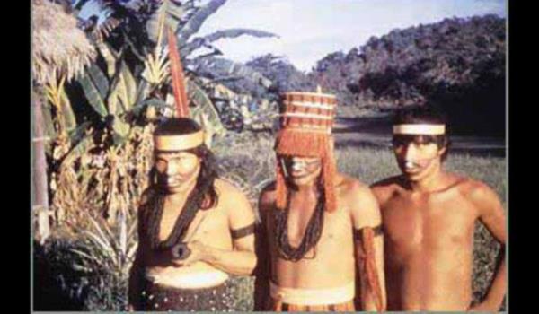 Korunmasndaki zorluklar; okullarda resmi olarak retilmemesi. Yaylmasndaki sebepse tek bir gl topluluun dili yaatma abas olarak dnlebilir.