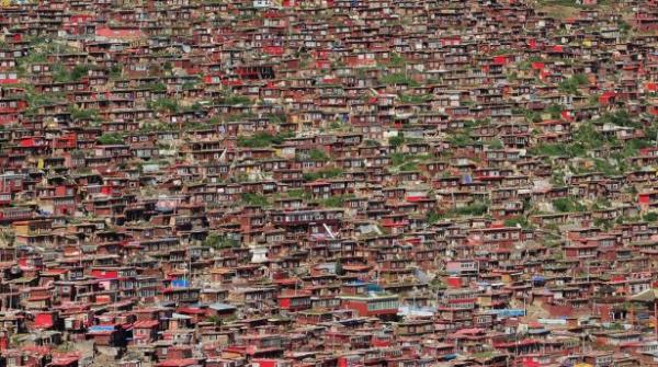 Budist eitim kamps gibi buras..