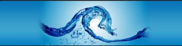 Beynin yzde 85`i sudan oluurken,