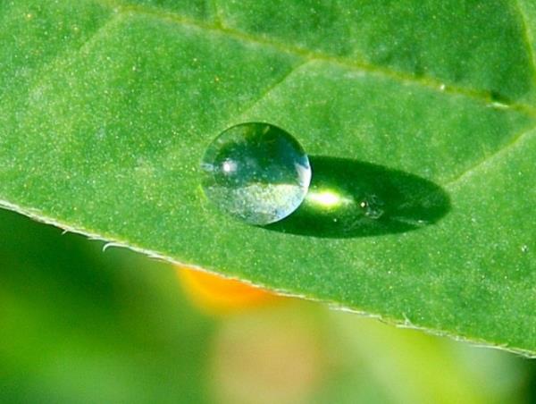 Yzde 5`lik su kaybnda birey konsantre olamaz.