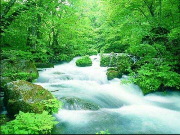 Yzde 20'lik bir su kayb yaam tehdit etmeye balar.