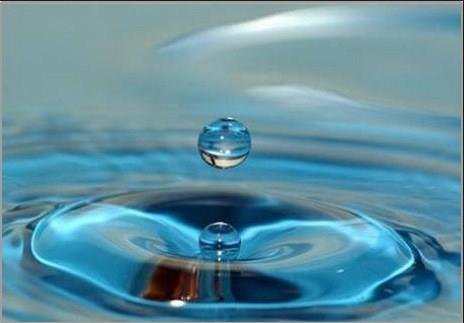 Vcutta biriken toksinleri atmak,