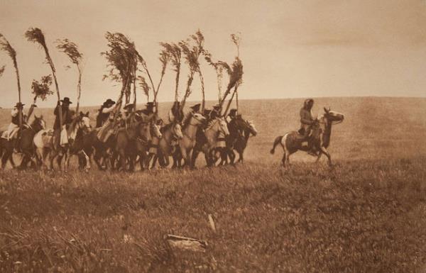 Ailesini ve geleceini dikkate almadan, Amerika&#8217;y at srtnda kar kar dolam, binlerce resim ekmi.