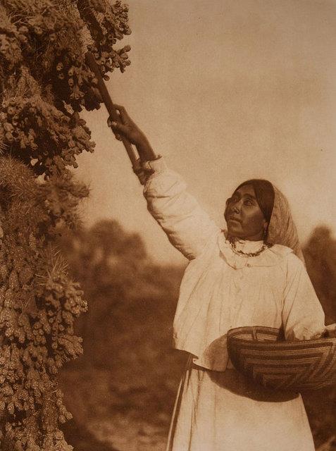 Yaklak 3 bin fotoraftan oluan bu koleksiyonda, Sioux Chiefs Red Cloud ve Joseph ve Apache&#8217;lerin lideri Geronimo gibi Kzlderili halknn nl isimleri de yer alyor.