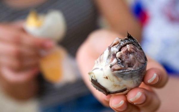 11. Balut-Filipinler