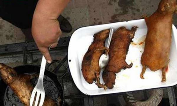 Domuz cenini kzartmas