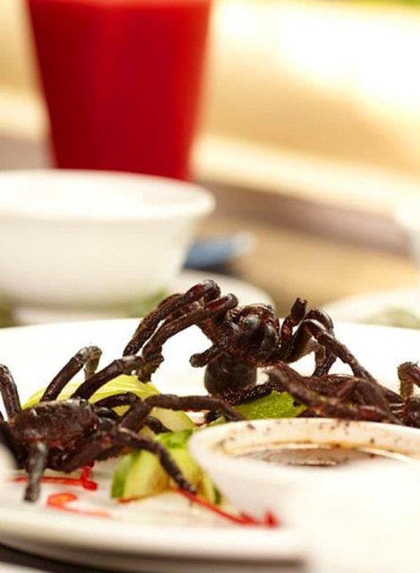 5. Kzartlm rmcek - Kamboya