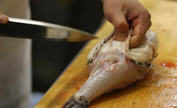 4. Kirpi Bal-Japonya