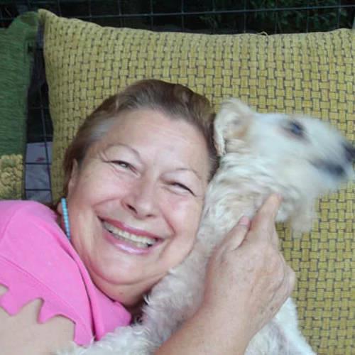 Bu diziden sonra eitli dizlerde 2009 ylna kadar yer bulan Ik Aras imdilerde inzivaya ekilmi.