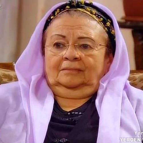 Mahallenin Muhtarlar dizisinden sonra da Koum Benim, Erkeksen Seyret, Memur Muzaffer dizilerinde rol ald. En son rol ald dizi Akn Kanunu