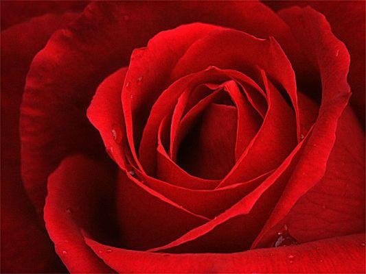 'La havle vela kuvvete illa billah' szn bol bol sylememi