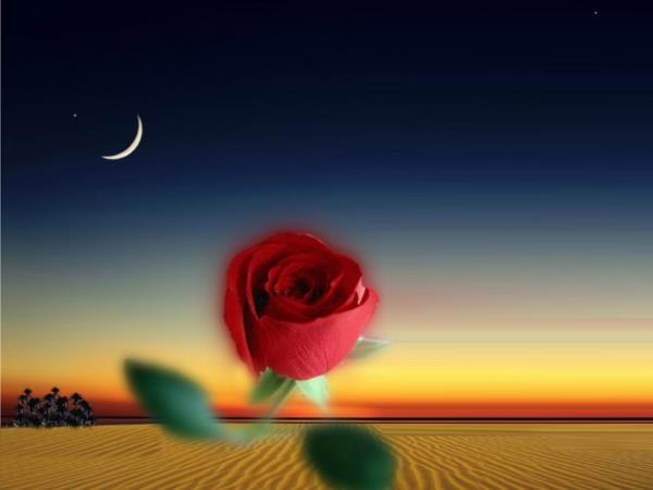 Bir adam Resulullah'a geldi ve "kalbim son derece kat" dedi. Peygamberimiz ona yle cevap verdi: