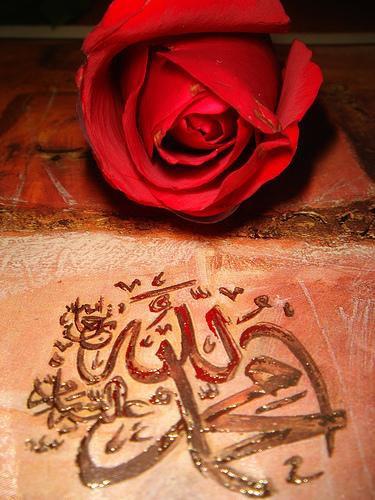 Dnyalkta kendimden daha aada olanlara bakmam, kendimden daha yukarda olanlara bakmam