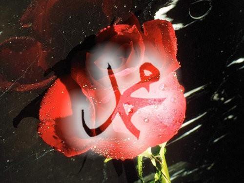 Benden uzaklasalar bile akrabalarmla bam kesmememi