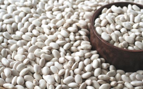 5- FASULYE  <br>  Kiloyu dengeler, kan ekerini dzenler. Kolon kanseri ve kalp hastalndan korur.