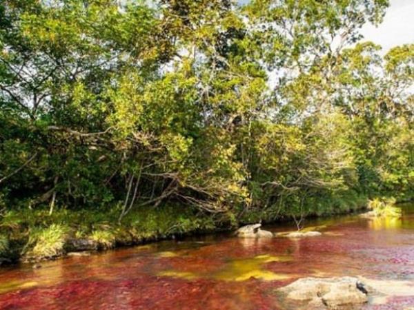 Nehrin genilii 20 metre, uzunluu ise 100 kilometredir.