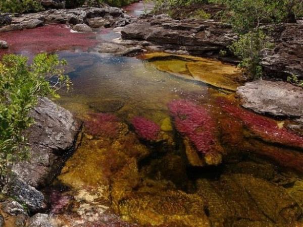 Cao Cristales'in yaknlarnda yol bulunmamaktadr, bu nedenle nehre ulam atla salanmaktadr.