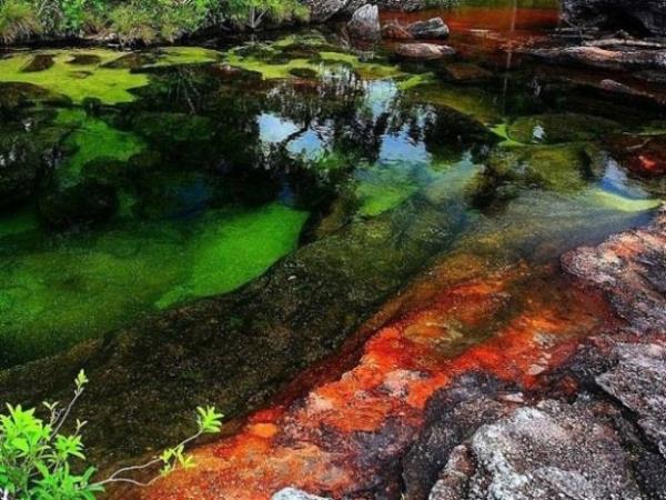 Yln ou zamannda herhangi bir nehirden fark yoktur; yeil yosunlarla kapl talar ve masmavi sular vardr. Ancak nehir her yl ksa bir sre iin iek aar ve gkkuann tm renklerini ierisinde barndrr.