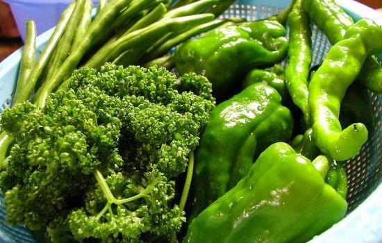 Yeil sebzeler A vitamini deposudur ve bbrek talarna kar etkilidir. Ayrca kolik rahatszln hafifletir.